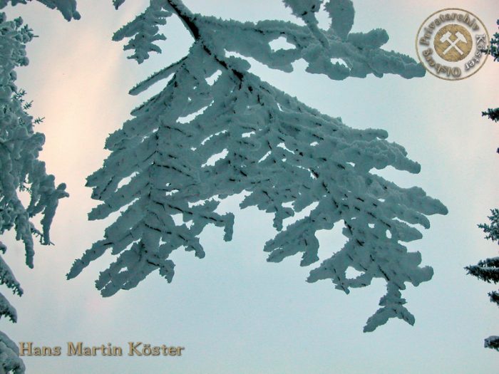 Winter im Olsberg 2005