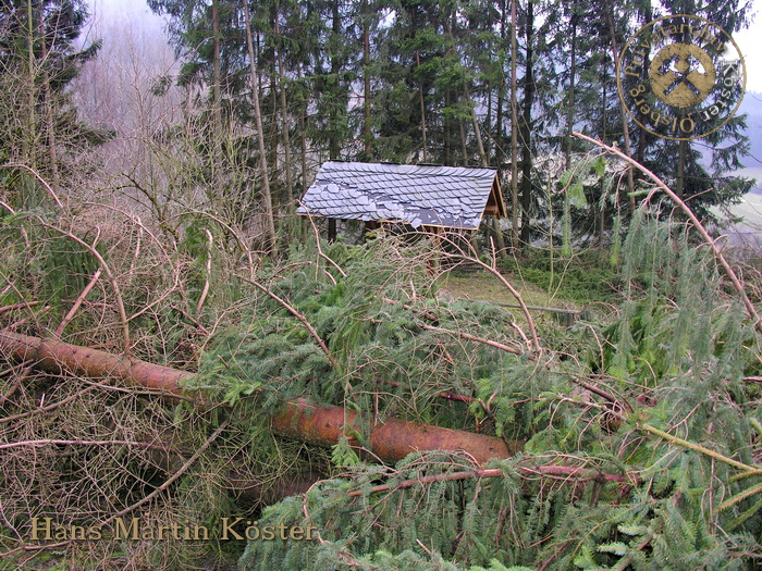 Orkan Kyrill - Windbruch am Philippstollen 2007