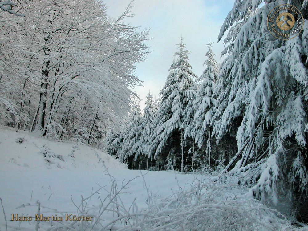 Wanderung zum verschneiten Borberg-Kirchhof 2004
