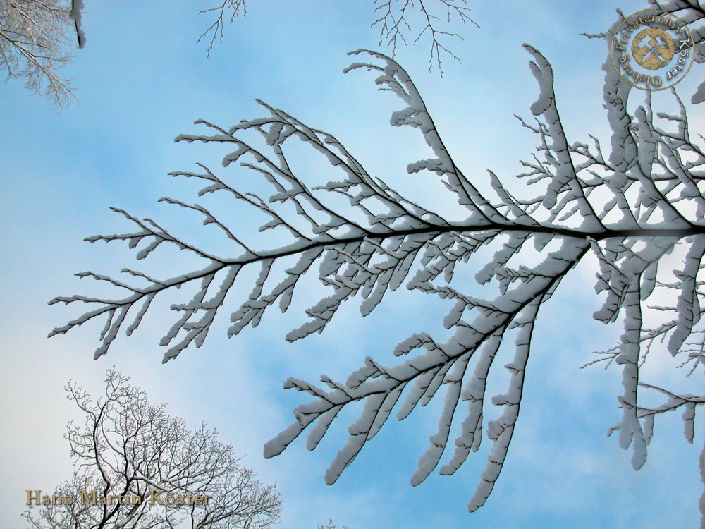 Wanderung zum verschneiten Borberg-Kirchhof 2004