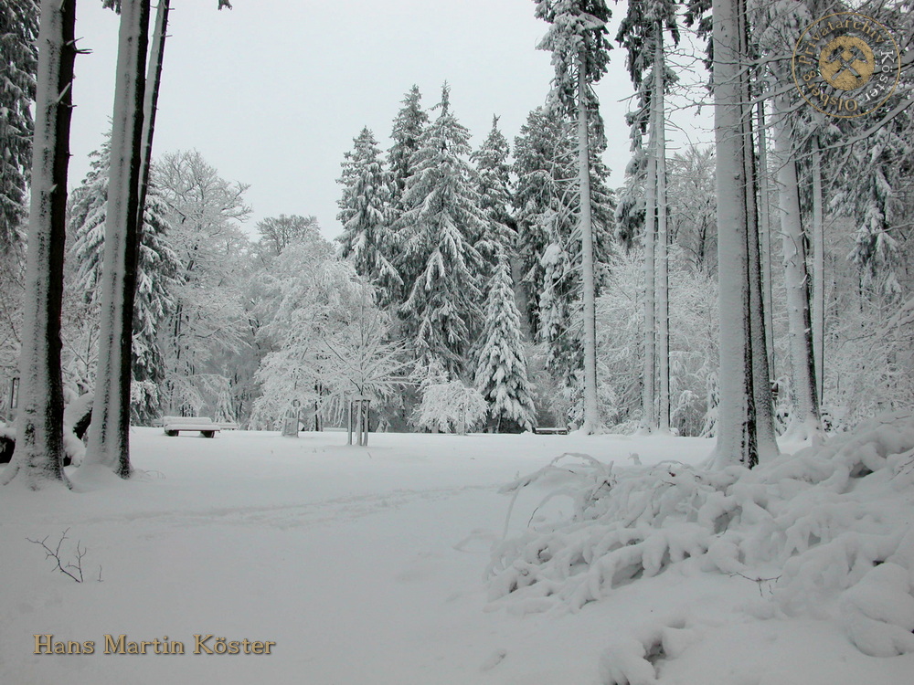 Wanderung zum verschneiten Borberg-Kirchhof 2004