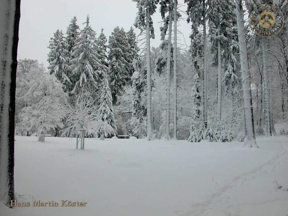 Wanderung zum verschneiten Borberg-Kirchhof 2004
