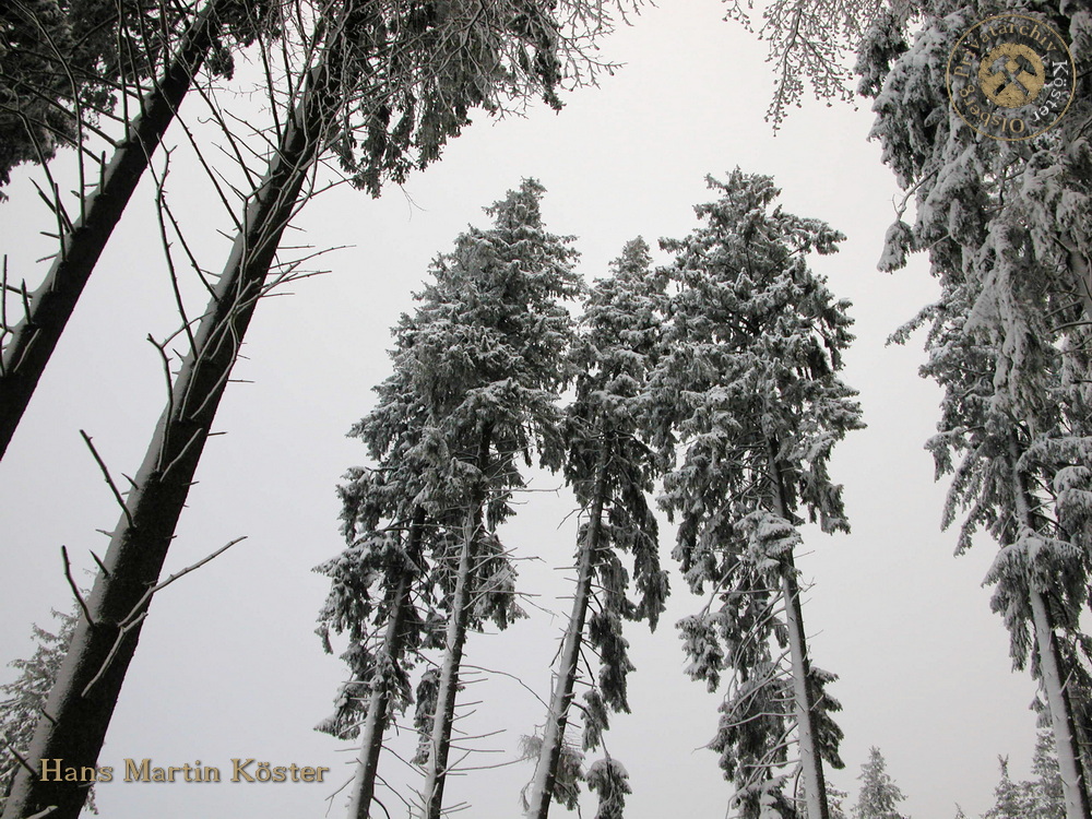 Wanderung zum verschneiten Borberg-Kirchhof 2004