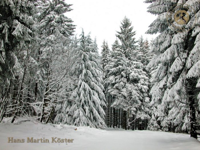 Winter auf dem Olsberg 2005