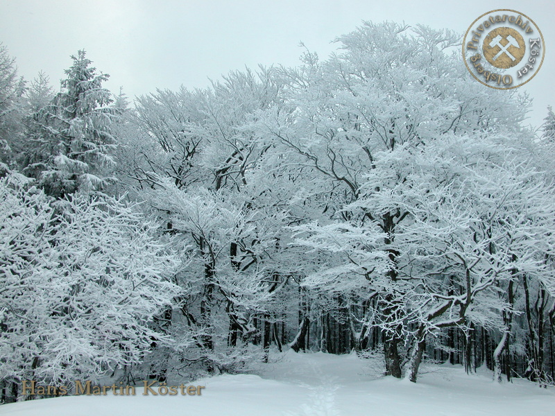 Winter auf dem Olsberg 2005