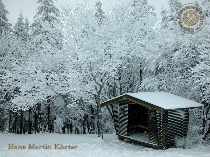 Winter auf dem Olsberg 2005