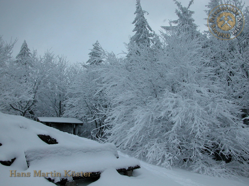 Winter auf dem Olsberg 2005