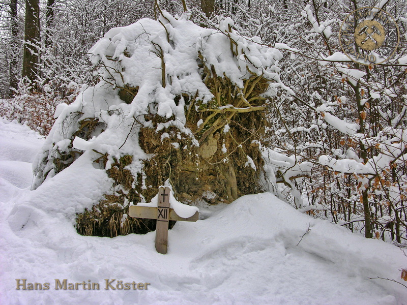 Der Hülsberg im Februar 2009