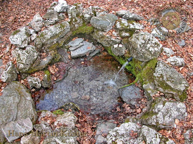 Die Luisenquelle im Olsberg 2004