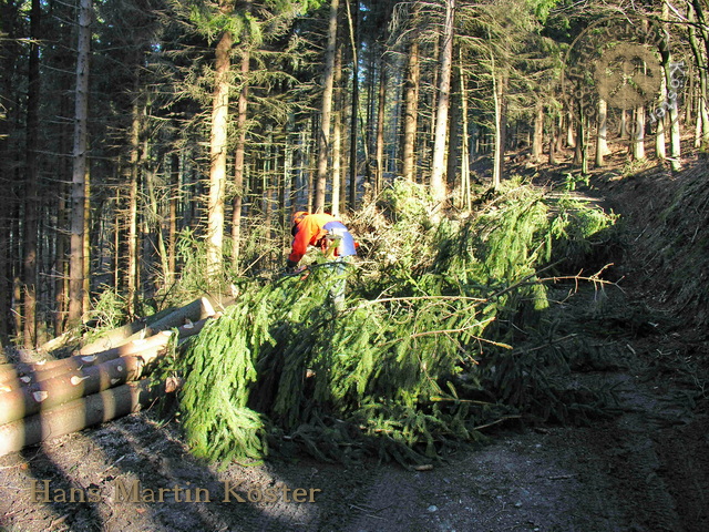 Briloner Eisenberg - Forstarbeiten im Februar 2008