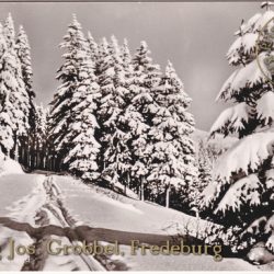 Ansichtskarte "Winter im Hochsauerland"