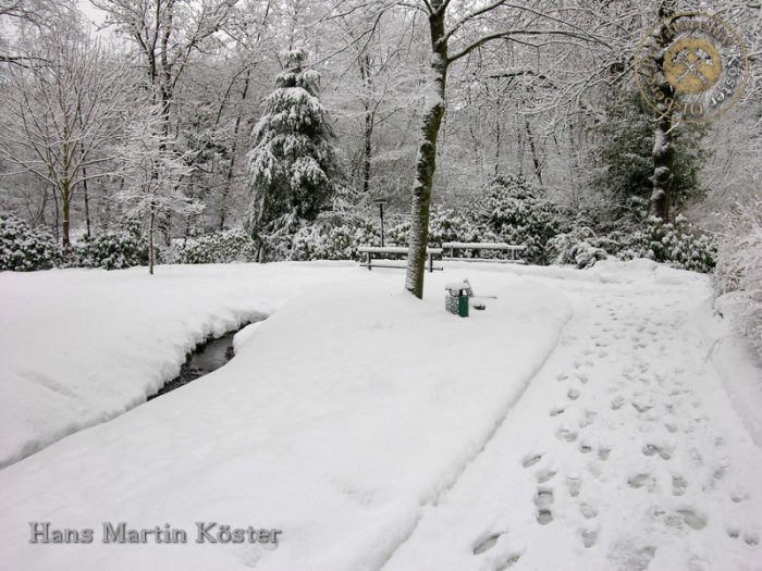 Winter im Kurpark Dr. August Grüne