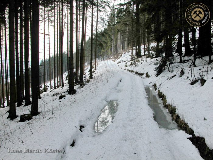 Brilon - Winter im Forstenberg