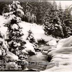 Ansichtskarte "Hochsauerland im Winter"