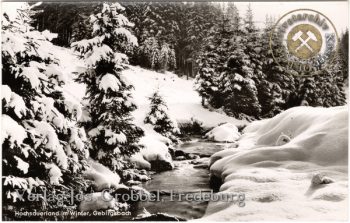 Ansichtskarte "Hochsauerland im Winter"