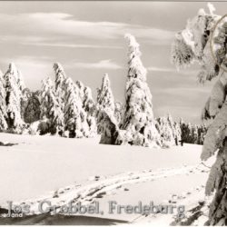 Ansichtskarte "Winter im Hochsauerland"