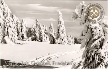 Ansichtskarte "Winter im Hochsauerland"