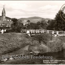 Ansichtskarte "Olsberg - Partie im Kurpark"