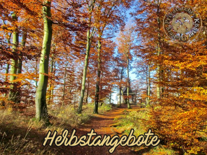 Herbstangebote