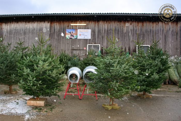 Gierskopp - Weihnachtsbaumverkauf auf dem Schultenhof