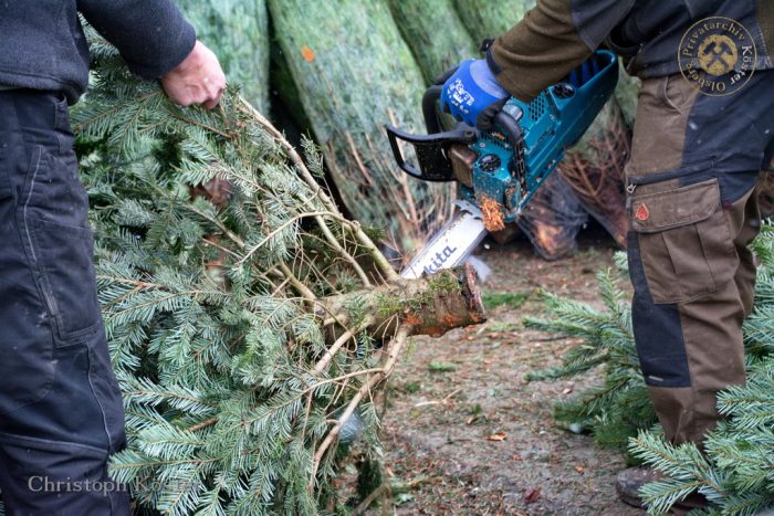 Gierskopp - Weihnachtsbaumverkauf auf dem Schultenhof