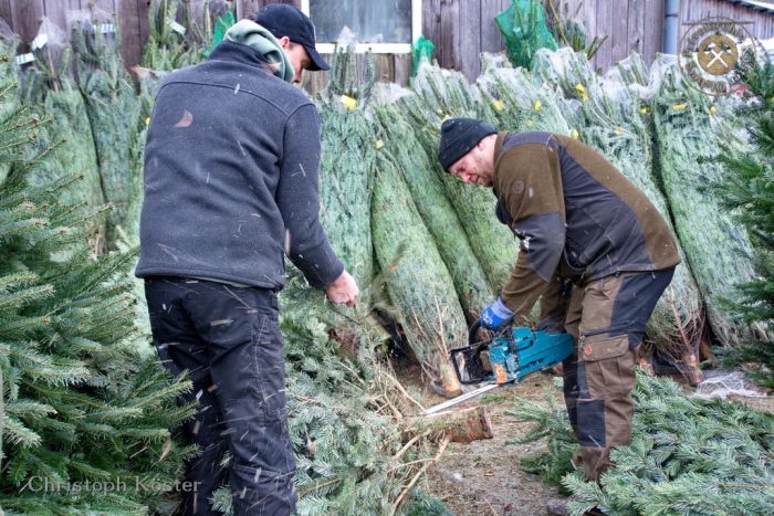 Gierskopp - Weihnachtsbaumverkauf auf dem Schultenhof