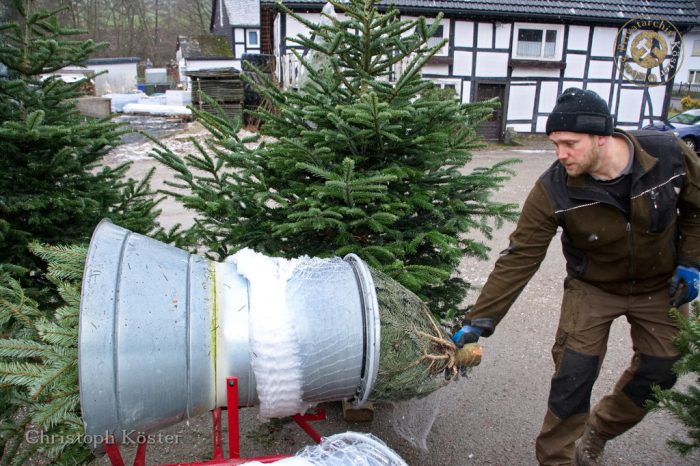 Gierskopp - Weihnachtsbaumverkauf auf dem Schultenhof