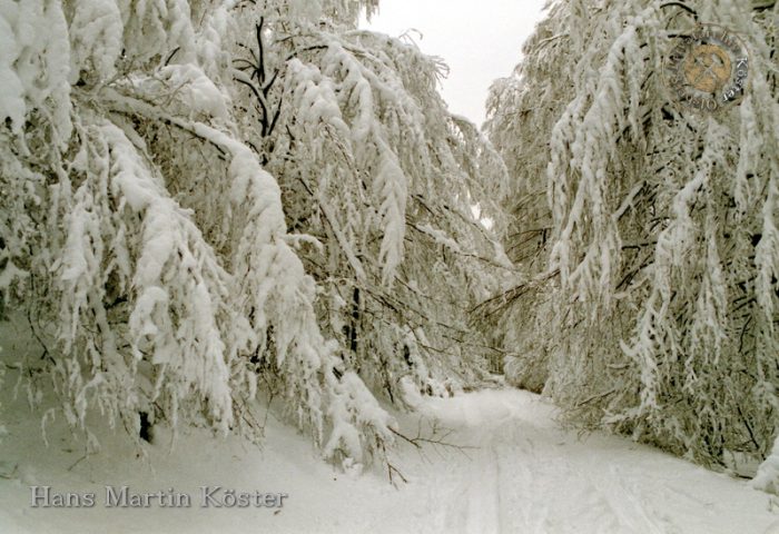 Brilon - Wanderung zum Borberg-Kirchhof