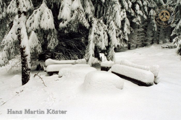 Brilon - Wanderung zum Borberg-Kirchhof