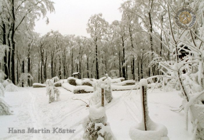 Brilon - Wanderung zum Borberg-Kirchhof