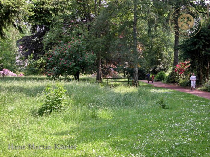 Olsberg - Fronleichnams-Prozession 2004